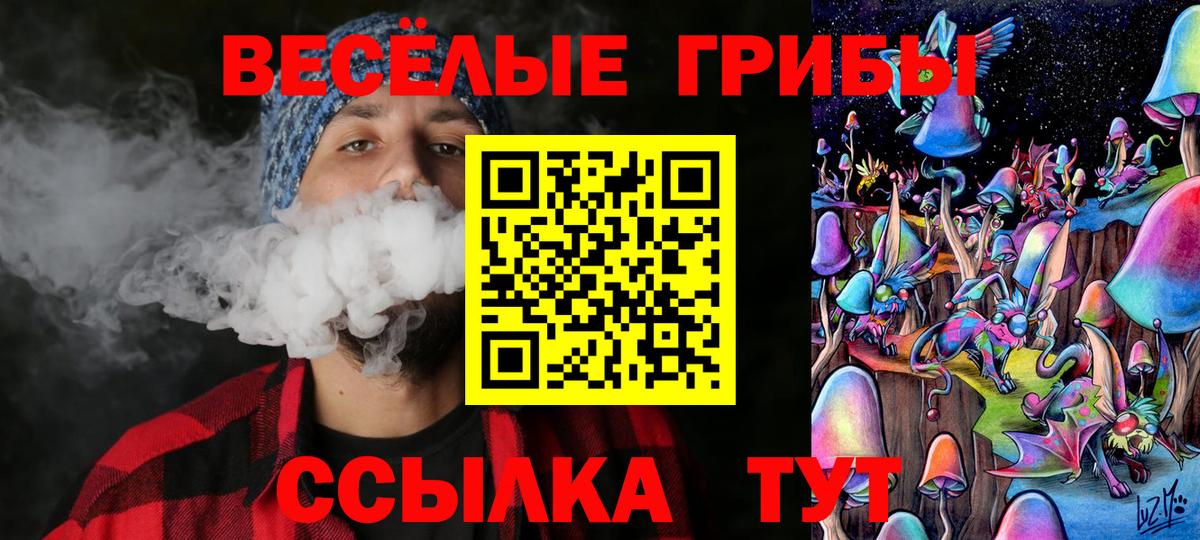 Петропавловск-Камчатский  купить  цена  Псилоцибиновые грибы Cubensis  Вход с VPN  Псилоцибиновые грибы Cubensis 