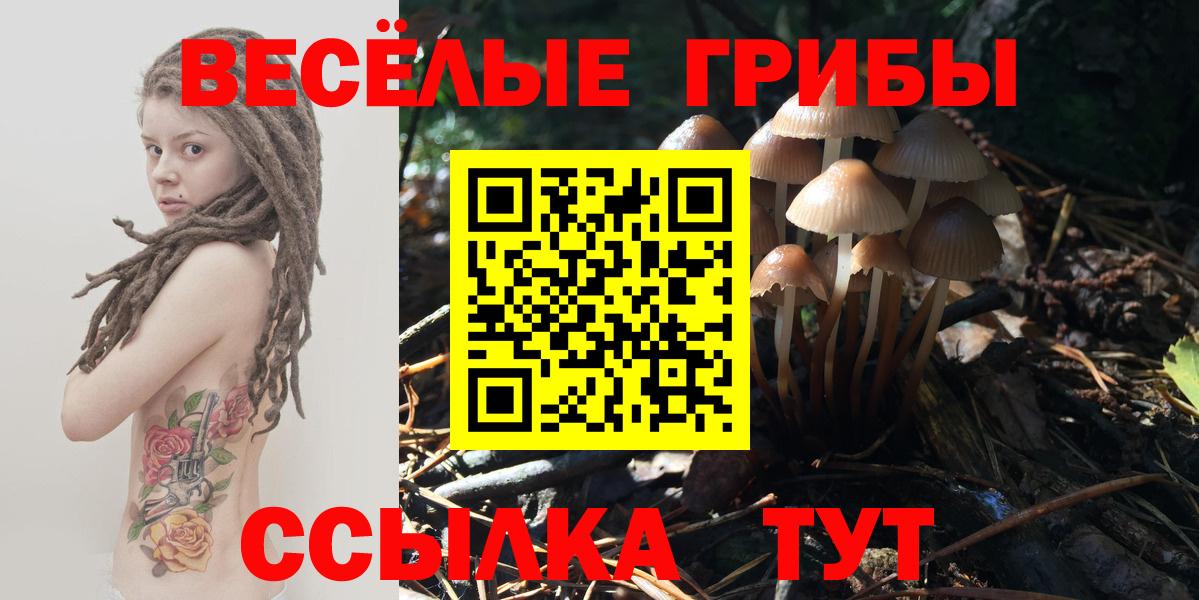 Галлюциногенные грибы мицелий Петропавловск-Камчатский